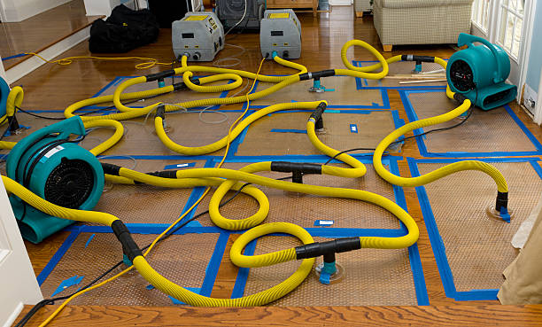 Professional Structural Drying And Dehumidification technician working in Whippany, NJ